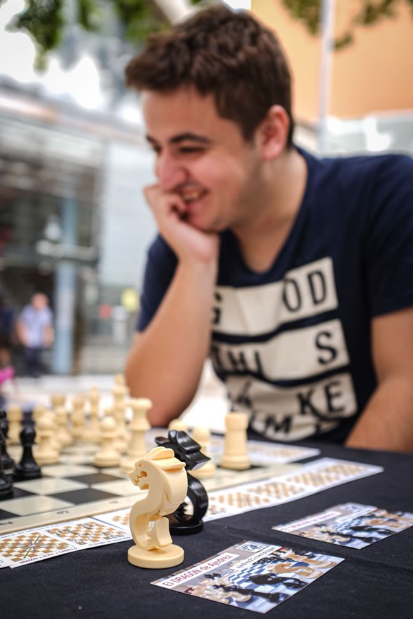 Le dragon - un set de deux nouvelles pièces pour une partie d'échecs - Le dragon - un set de deux nouvelles pièces pour une partie d'échecs