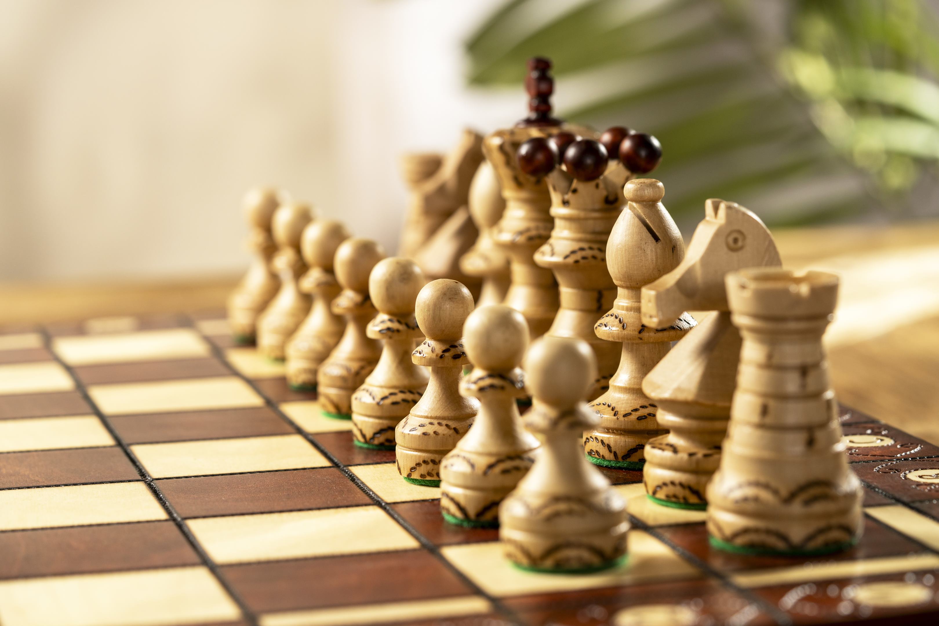 Jeu d'échecs SENATEUR en bois de charme, de taille moyenne (41 x 41cm) - Ensemble Complet - Jeu d'échecs SENATEUR en bois de charme, de taille moyenne (41 x 41cm) - Ensemble Complet