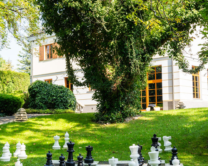 zestaw-do-szachow-plenerowych-ogrodowych-krol-64-cm-figury-szachownica-plastikowa-gcp25gardenset.jpg